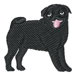 Black Pug