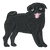 Black Pug