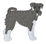 Schnauzer