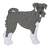 Schnauzer