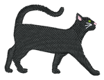 Black Short Hair Cat