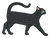 Black Short Hair Cat