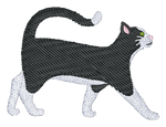 Black and White Short Hair Cat