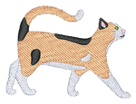 Short Hair Calico Cat
