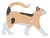 Short Hair Calico Cat