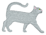 Grey Short Hair Cat
