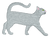 Grey Short Hair Cat