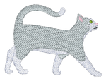 Grey and White Short Hair Cat