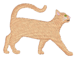 Orange Short Hair Cat