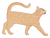 Orange Short Hair Cat