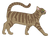 Short Hair Striped Cat