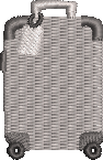 Gray Suitcase