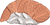 Sushi Nigiri