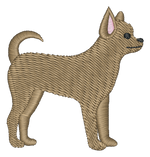 Chihuahua