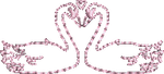 Pink Swans