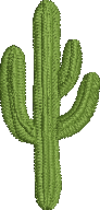 Cactus Embroidered Icon