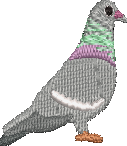 Pigeon fixed Embroidered Icon