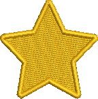 Star Embroidered Icon