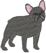 Dark Grey Frenchie