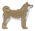 Shiba Inu